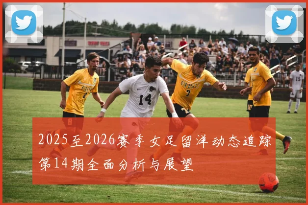 2025至2026赛季女足留洋动态追踪第14期全面分析与展望