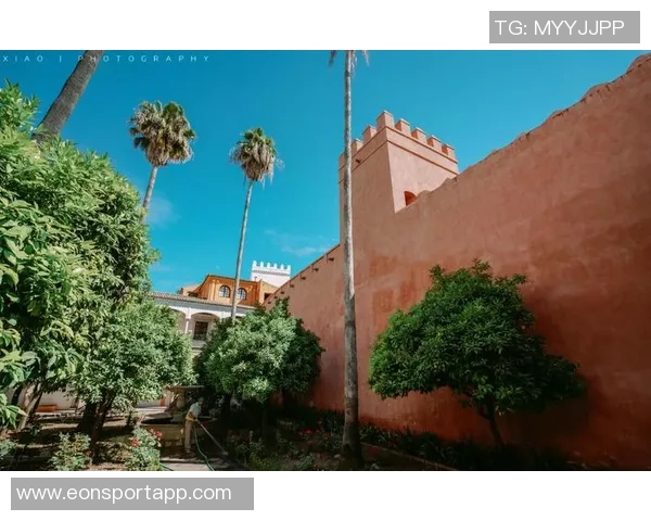 西足协调查塞维利亚球迷侮辱王后索菲亚事件引发关注 西足协调查塞维利亚球迷侮辱王后索菲亚事件引发关注